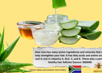 Africa’s Beauty Pantry