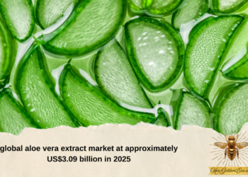 HER CASH CROP- ALOE VERA