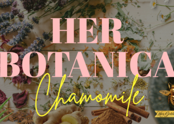 Her Botanica: Chamomile