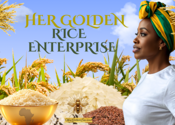 HER GOLDEN RICE ENTERPRISE