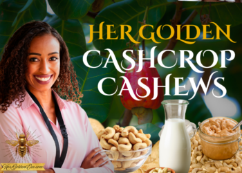 Her Golden Cash Crop Cashews