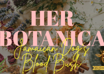 Jamaica’s Fertility Bush- Dog Blood