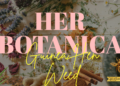 Guinea Hen Weed- Anti Inflamatory Superfood