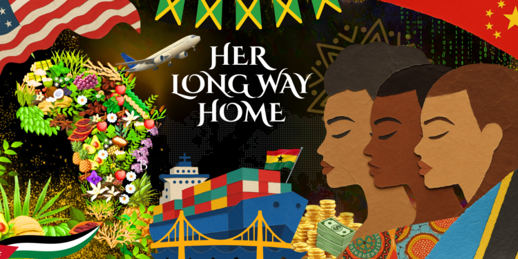 The Long Way Home